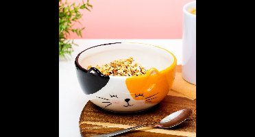 Winkee Kat Schaaltje