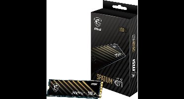 SPATIUM M371 NVMe M.2 500GB