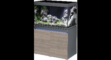 Eheim Set Incpiria 330 | 330L | 100 x 60 x 65 CM Graphit/Rustic Oak