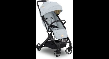 hauck Travel N Care - Jouw reisgenoot – licht, compact en klaar voor elk avontuur - Simba