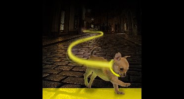 Duvoplus - Dierenkleding - Hond - Halsband Nylon Licht Usb 30-40cm/2,5cm Neon Geel - 1st