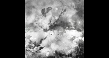 Exitmusic - The Recognitions (CD)
