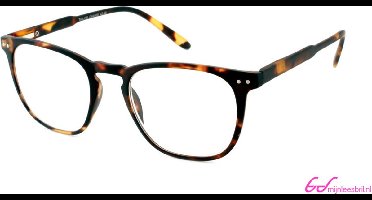 Leesbril INY Tailor G64900 havanna +1.00