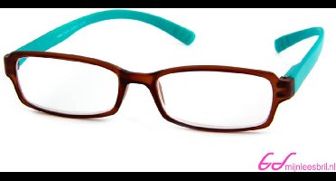 Leesbril INY Hangover G45600 bruin/turkoois +2.00