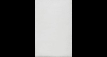 Wecon home Basics - Anna - Hoogpolig vloerkleed - 160x230 cm - wit -