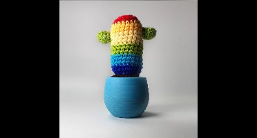 Mustard Haakpakket - Cactus Rainbow