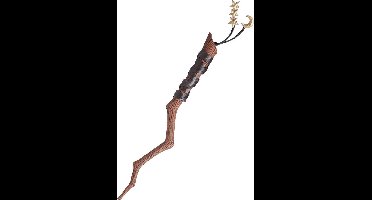 Vegaoo - Nachtelijke heks of tovenaar staf