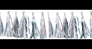 Ginger Ray Good Vibes - Tassel kwasten slinger - holographic - 2 meter