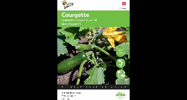 Buzzy® Courgette Klimmend Black Forest F1