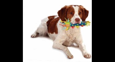 Petstages Cool Teething Stick - Verkoelend kauwspeeltje voor puppies - Geschikt om in te vriezen - 22 cm lang