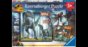 Ravensburger 05656 puzzel Legpuzzel 49 stuk(s)
