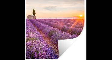 Muurstickers - Sticker Folie - Lavendel - Zonsondergang - Bloemen - Paars - 30x30 cm - Plakfolie - Muurstickers Kinderkamer - Zelfklevend Behang - Zelfklevend behangpapier - Stickerfolie