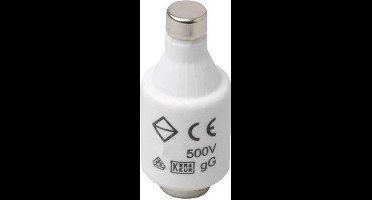 Smeltzekering 63A traag