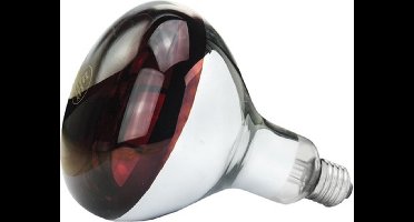 Philips Eider Warmtelamp 150Watt