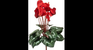 Emerald - Kunstplant Cyclamen rood 30cm - Kunstplant voor binnen