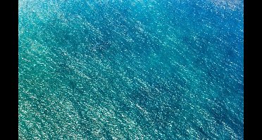 Komar Pure | blaupause | zee | fotobehang op vlies 400x250cm