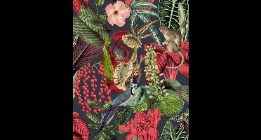 DUTCH - WALLCOVERINGS - Behang - Amazon - meerkleurig