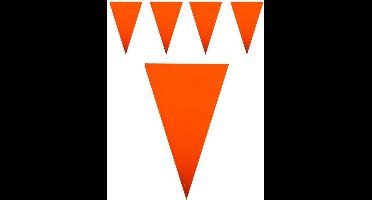 Vlaggenlijn puntvlag oranje 10m plastic