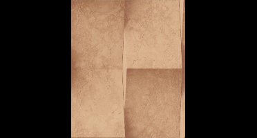 Dutch Wallcoverings schuimvinyl steen - bruin