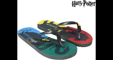 Harry Potter - Hogwarts Houses Premium Flip-Flops - Size 43