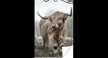 Poster Schotse Hooglander - Bos - Mist - Koe - Dieren - Natuur - 20x30 cm