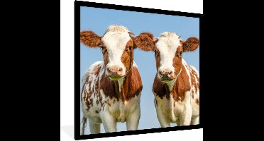 PosterMonkey - Fotolijst - Koeien - Koe - Dieren - Natuur - Kalfjes - Poster - Frame - 40x40 cm - Posterlijst - Foto lijst - Poster koe - Poster met kader