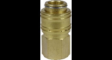 EINHELL Snelkoppeling R 1/4" binnendraad
