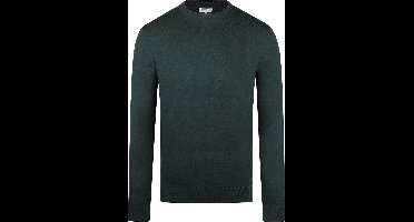 McGregor Trui Merinowol Donkergroen - Maat XXL - Heren - Pullovers