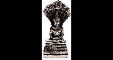 Geboortedag Boeddha - Zaterdag - Naga Boeddha - 4.8 x 4 cm