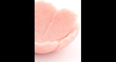 Light & Living - Schaal FRESIA - 20.5x19.5x7.5cm - Roze