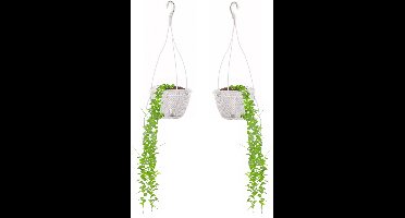 Prosperplats Hangende bloempot/plantenpot Splofy - 2x - wit - kunststof - 23 cm - met schotel - tuin hangdecoratie