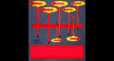 Geïsoleerde stiftsleutelset Torx met T-hendel foam tray 7 delig MW Tools MWETTX7
