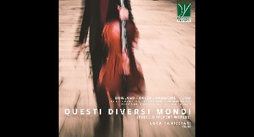 Luca Panicciari - Questi Diversi Mondi [These Different Worlds] (CD)