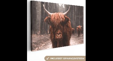 Canvas schilderij 150x100 cm - Wanddecoratie Schotse hooglander - Bos - Koe - Dieren - Natuur - Muurdecoratie woonkamer - Slaapkamer decoratie - Kamer accessoires - Schilderijen