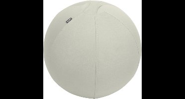 Leitz Ergo Actieve Zitbal - Anti-rol design - 55cm - Lichtgrijs