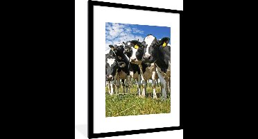 PosterMonkey - Poster - Fotolijst - Koeien - Koe - Dieren - Natuur - Weiland - Posterlijst - Kader - Poster met frame - 60x80 cm - Foto in lijst - Poster koe - Poster natuur - Posterlijst