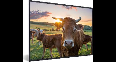 PosterMonkey - Poster - Fotolijst - Koeien - Zonsondergang - Natuur - Dieren - Koe - Kader - 80x60 cm - Poster koe - Foto lijst - Poster in lijst - Poster natuur