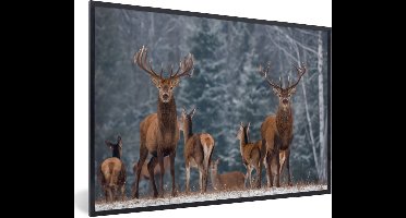 PosterMonkey - Poster - Fotolijst - Hert - Winter - Natuur - Kader - 90x60 cm - Posterlijst - Poster hert - Foto in lijst - Poster dieren - Woonkamer