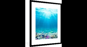 PosterMonkey - Poster - Poster in lijst - Fotolijst - Vissen - Onderwaterwereld - Water - Tropische vissen - 60x80 cm - Kader - Kamer decoratie - Poster met frame - Wanddecoratie natuur - Poster natuur