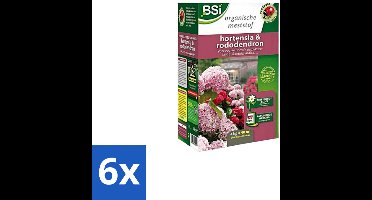 BSI – Hortensia & Rododendron Meststof – Rijke Bloei & Sterke Groei – 4 kg (40 m²) - Voordeelverpakking - 6 stuks