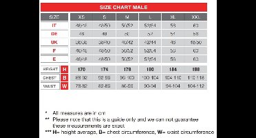 Hawaiishirt flowers multi