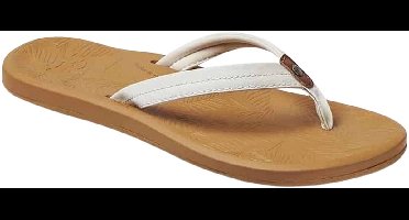 Reef Tides Teenslipper Dames