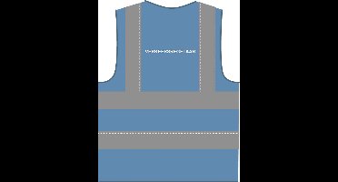 Verkeersregelaar hesje RWS hemelsblauw