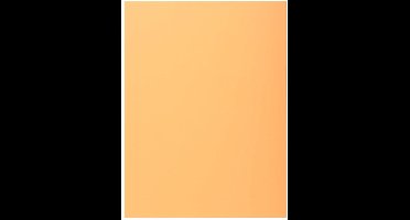 Exacompta 5x SUPER 160 Pak van 100 mappen met 1 klep - 24x32cm - - Geassorteerd - 348000E