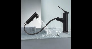 Boraboi® Uittrekbare Zwart Badkamerkraan met Drievoudige Waterstraalopties en Eenvoudige Installatie