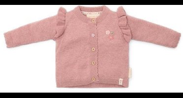 Gebreid vestje - Roze - Fairy Garden-62