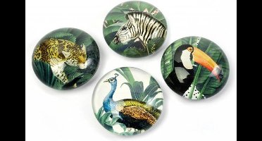 Trendform Eye magneten Royal Garden