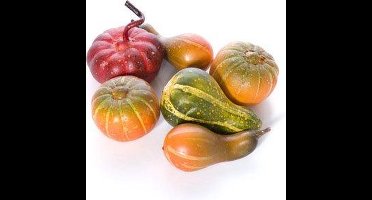 Pompoen Groen Kunststof L20 B16 Mix