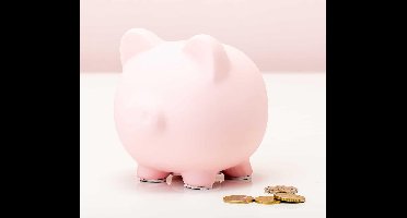 Roze Spaarvarken van Invotis