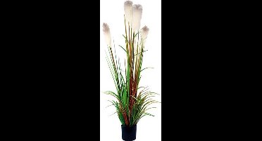 Kunst Riet gras in pot 150 cm - wit-groen-bruin